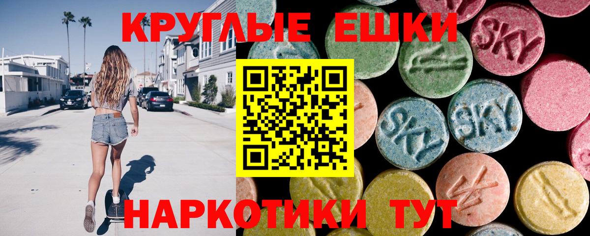Грязи  Ecstasy Philipp Plein  Вход с VPN 