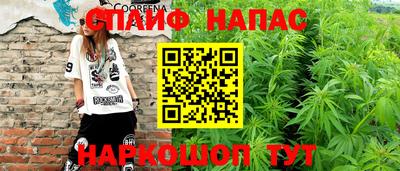 mdma Гатчина